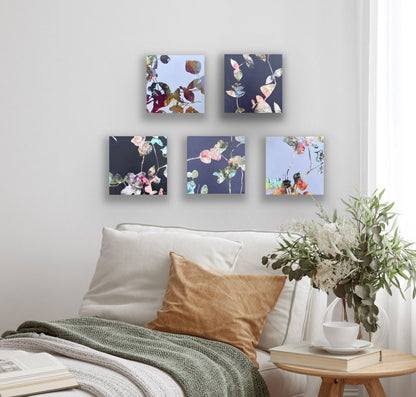 Shapes of nature - botanical abstract art series by Ida Kopperud. Five pieces displayed on a neutral wall